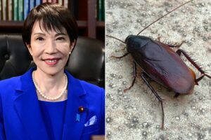 China Publishes Furious Screed Against Japanese Prime Minister for Not Killing a Cockroach