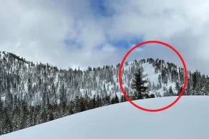 Disturbing cause of death for 9 skiers killed in devastating Tahoe avalanche revealed months after tragedy