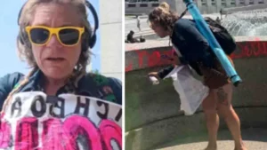 WWII Memorial vandalism suspect in custody, charged with two felonies, Pirro says