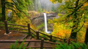 Kentucky man, 20, dies in ‘horrific accident’ after slipping from towering Oregon waterfall