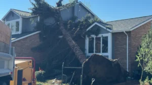 Storms leave hail drifts up to 3 feet, strip leaves from trees in Denver area