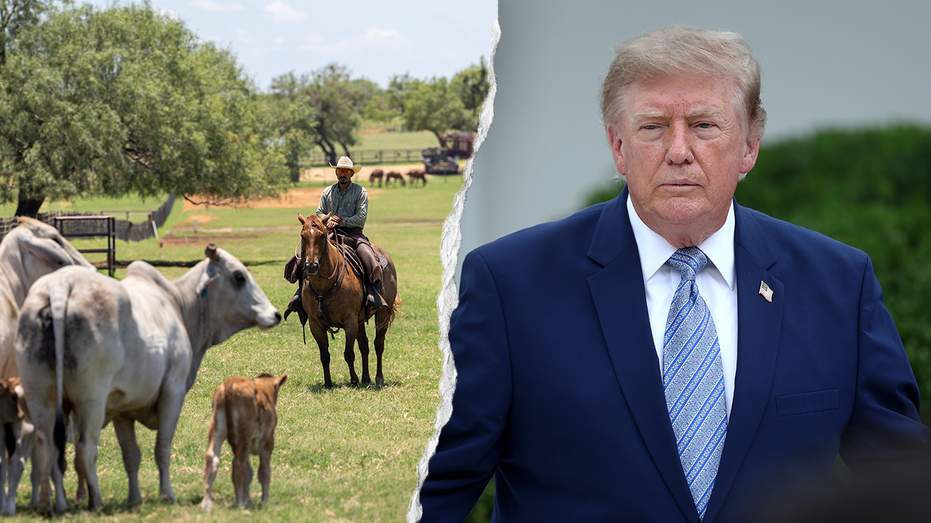 MASSIVE AMERICA FIRST MOVE: Trump Authorizes Farmers and Ranchers to Process Their Own Food and Smash the Foreign Meatpacking Monopoly