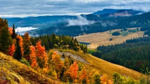 Colorado fall colors are taking off. Here’s where to go this weekend.