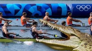DOWN UNDER ALERT: 600+ Crocodiles Infest River to Host Brisbane 2032 Olympic Rowing