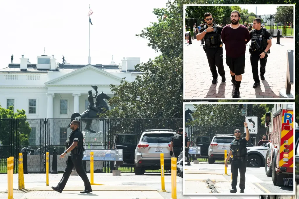 Deranged man allegedly drives on sidewalk near White House, demands to speak to Trump