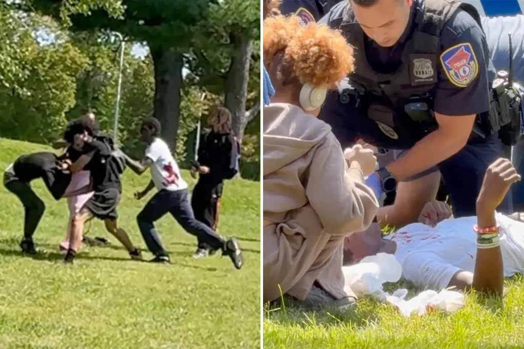 Disturbing video captures bloody New York’s Westchester college campus stabbing with 2 students injured