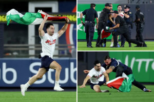 DUMB DEMOCRAT ALERT: Did You Notice This Nasty Detail About the Pro-Palestinian Streaker at Yankee Stadium?