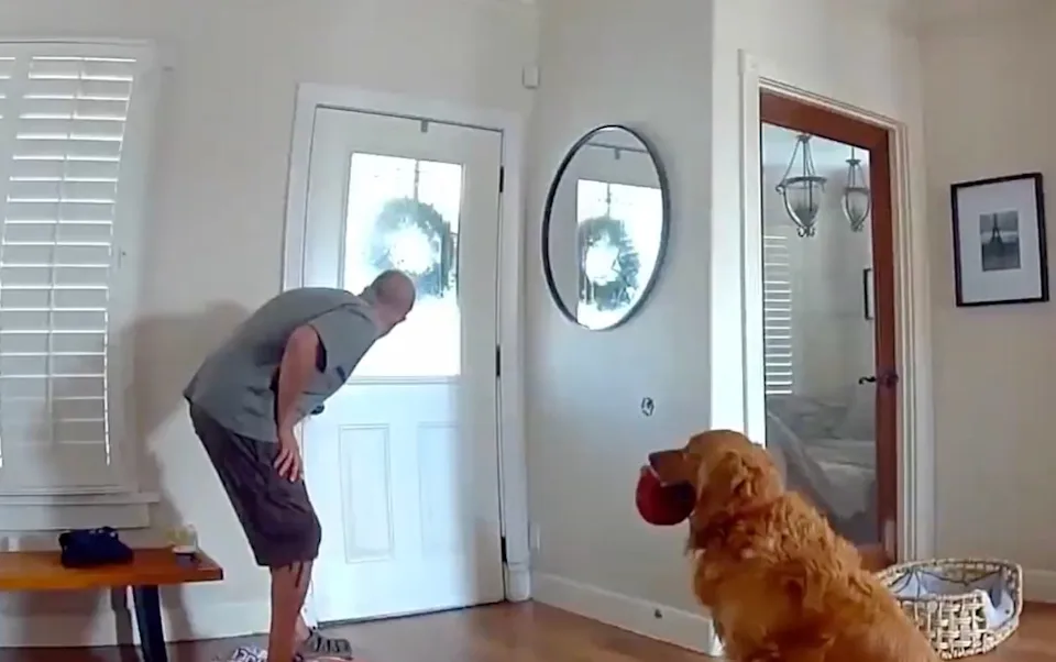 KNUCKLES ALERT — BAD BOY: Worst guard dog in the world exposed by Ring camera in San Diego — and the breed won’t surprise you