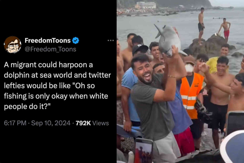 INVASION EUROPE: Lefties do the meme, defend Moroccan “migrants” who clubbed baby dolphin on Ceuta’s beach