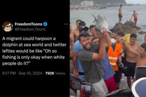 INVASION EUROPE: Lefties do the meme, defend Moroccan “migrants” who clubbed baby dolphin on Ceuta’s beach