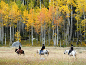 8 Leaf-Peeping Mountain Getaways You Should Take This Fall