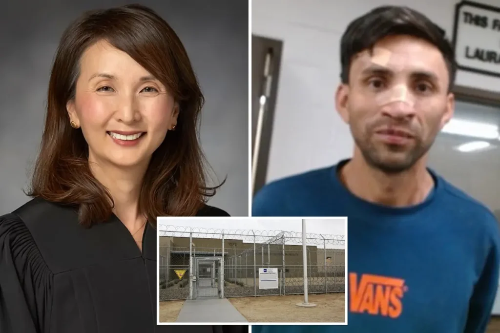 INVASION USA — ICE: Foreign-born judges show us what they mean by ‘giving back to the community’