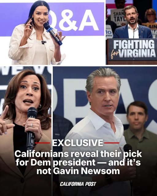 DUMB AND DUMBER ALERT — EXCLUSIVE: Californians reveal their pick for Dem president — and it’s not Gavin Newsom