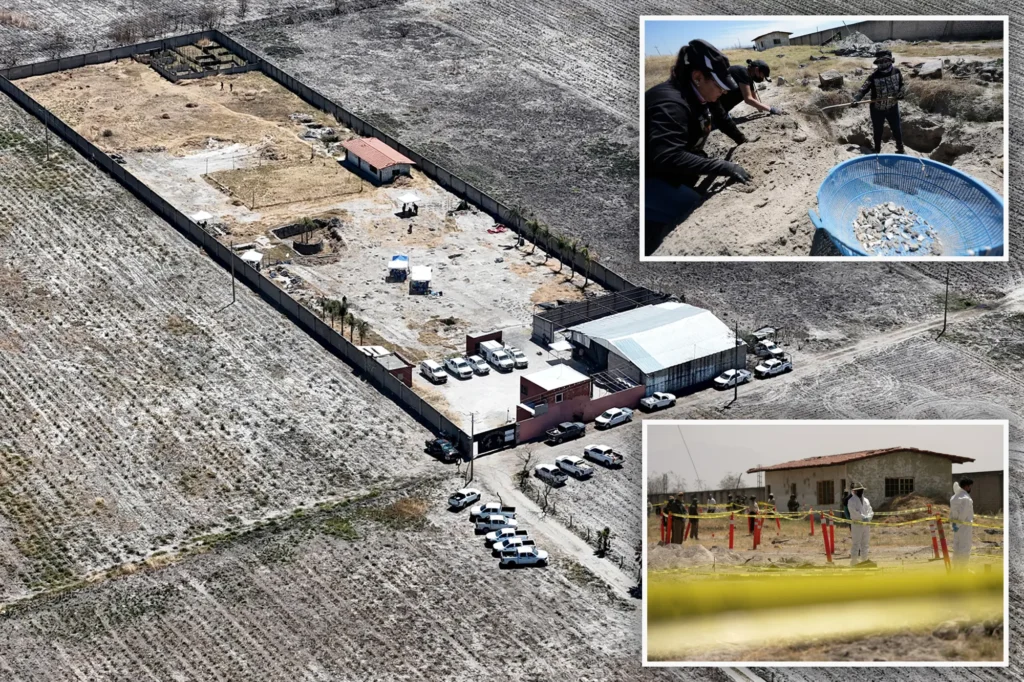 BODIES ON THE FLOOR: Cartel hitman earning $220 weekly claims he incinerated 250 people at Mexican ranch