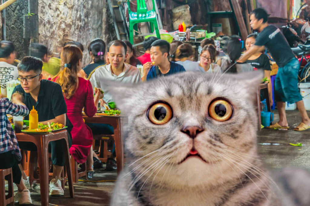 Vietnamese men charged with stealing 2,700 cats to sell for meat